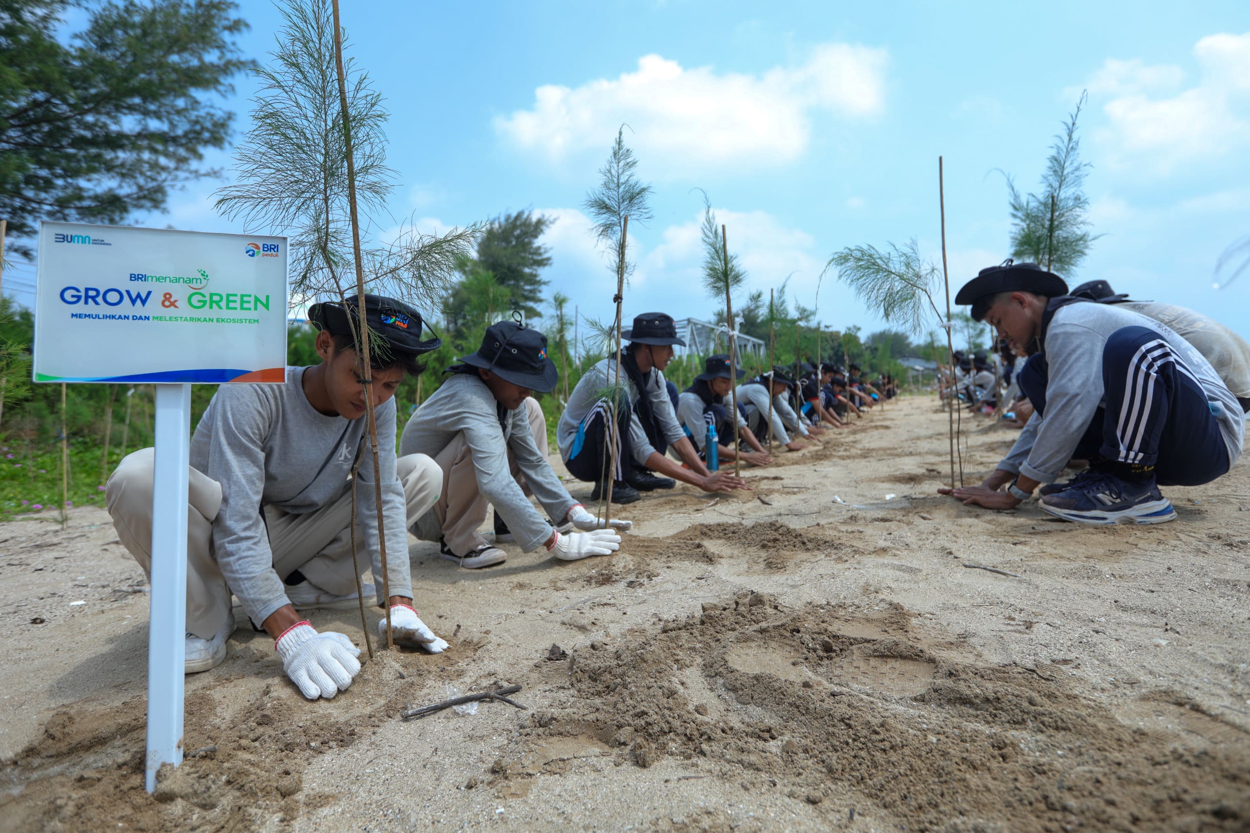 Peringati Hari Lingkungan Hidup Sedunia, BRI Pertegas Komitmen dalam Menjaga Ekosistem Lingkungan