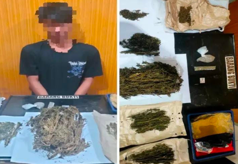 Polresta Bengkulu Tangkap Dua Pengedar Ganja, Sita 8 Paket Besar Siap Edar