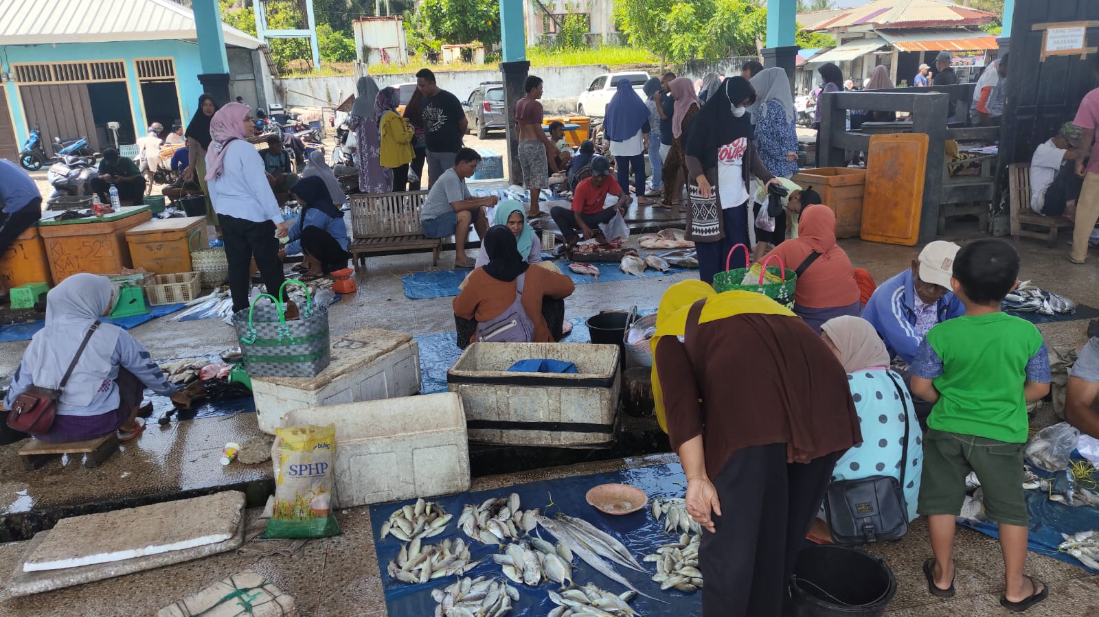 TPI Pasar Bawah Bengkulu Selatan Ramai Lagi, Tapi Nelayan Terkendala Muara Dangkal