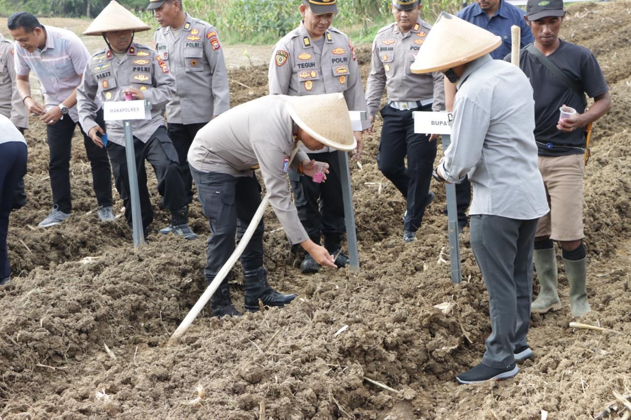 Dukung Ketahanan Pangan, Polres Mukomuko Tanam Jagung Serentak Kuartal I 2026