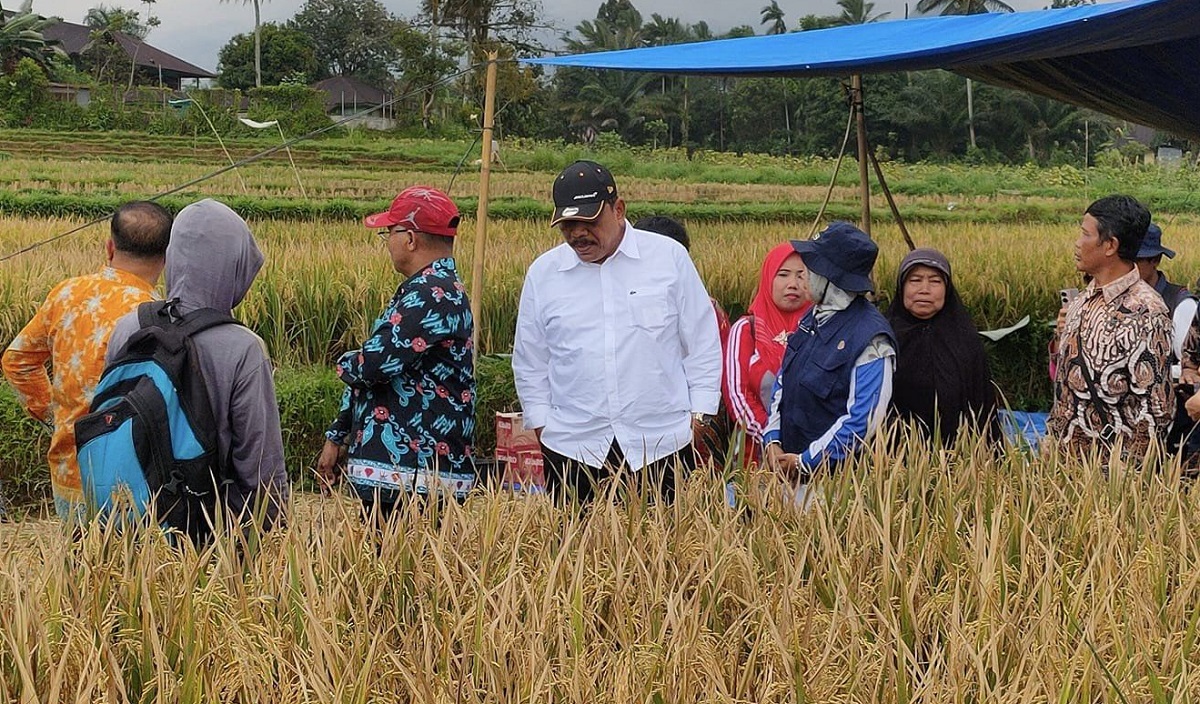 19 DAK Non Fisik 2024! Ini Kabupaten dan Kota Terkaya di Bengkulu