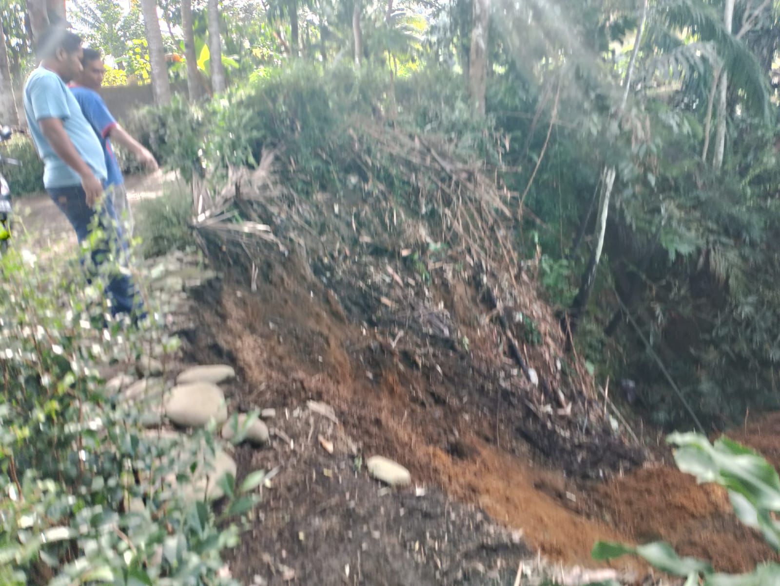 Hujan Deras Picu Longsor di Lubuk Mukti Mukomuko, Jalan Desa Tergerus