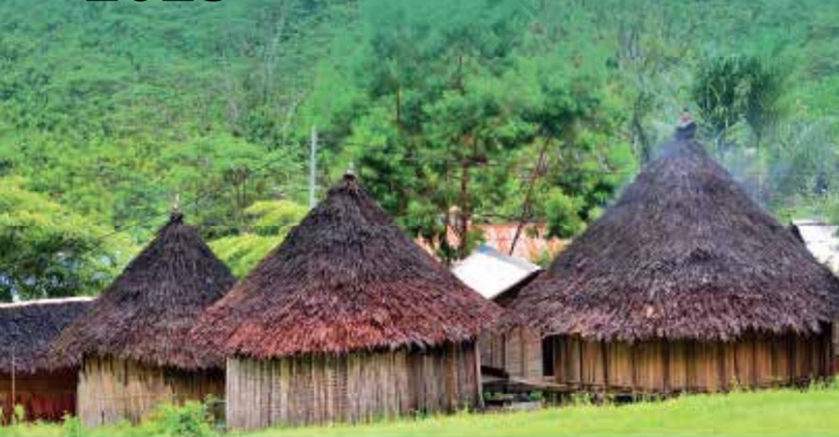 Selamat! Jatah BOK Puskesmas di Papua Pegunungan 162 Miliar: KB 49 Miliar
