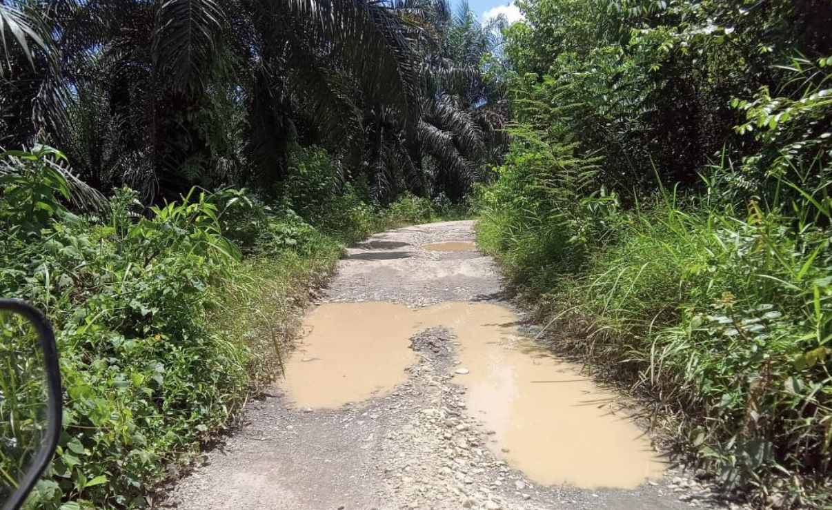 Jalan Rusak 5 Kilometer di Desa Cinto Mandi, Warga Harapkan Perhatian