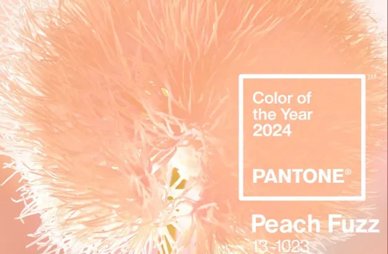 Warna 2024: Bye-bye Warna Sage Green, Pantone Rilis Warna Peach Fuzz