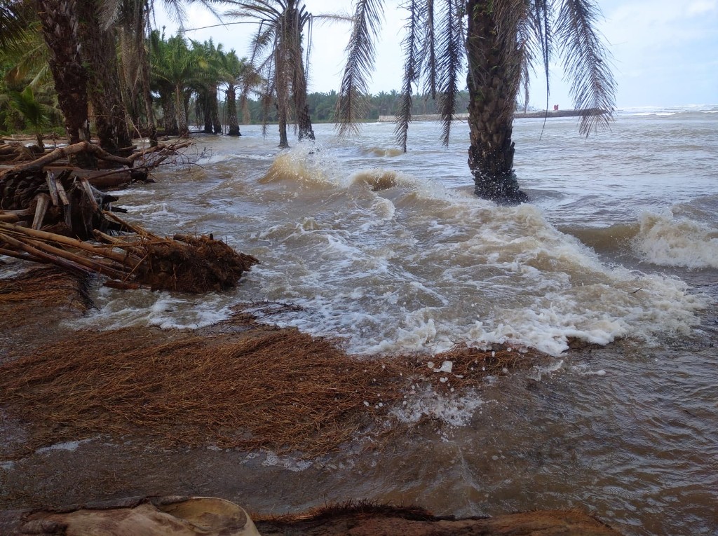 Pembangunan Breakwater di Seluma Tertunda, Pemerintah Janji Usulkan Lagi di APBD Perubahan