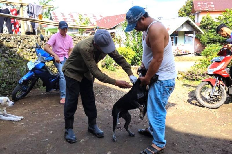 4.624 Hewan Penular Rabies di Kabupaten Rejang Lebong Telah Divaksin Selama Tahun 2024