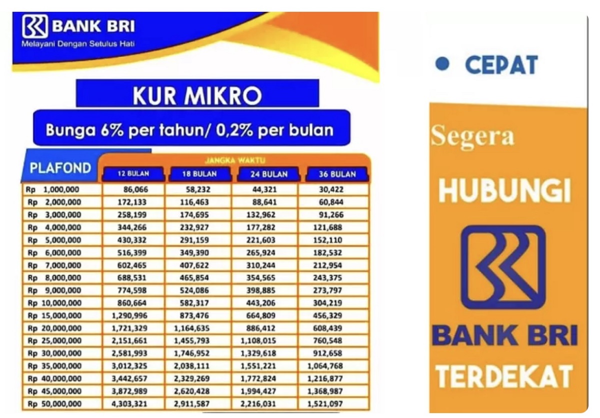 Jangan Salah ! Kenali 3 Kategori Pinjaman KUR Bank BRI