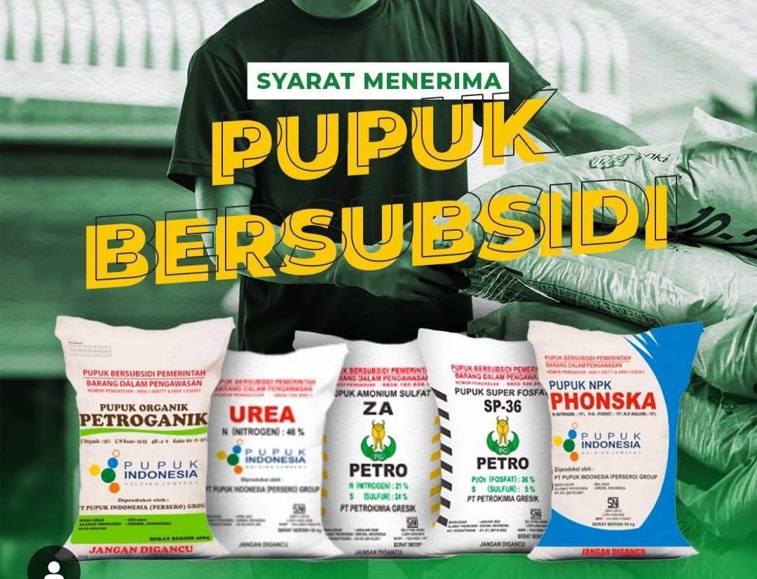 1.000 Petani Bengkulu Utara Terancam Dicoret dari Daftar RDKK, Pupuk Subsidi Tak Ditebus