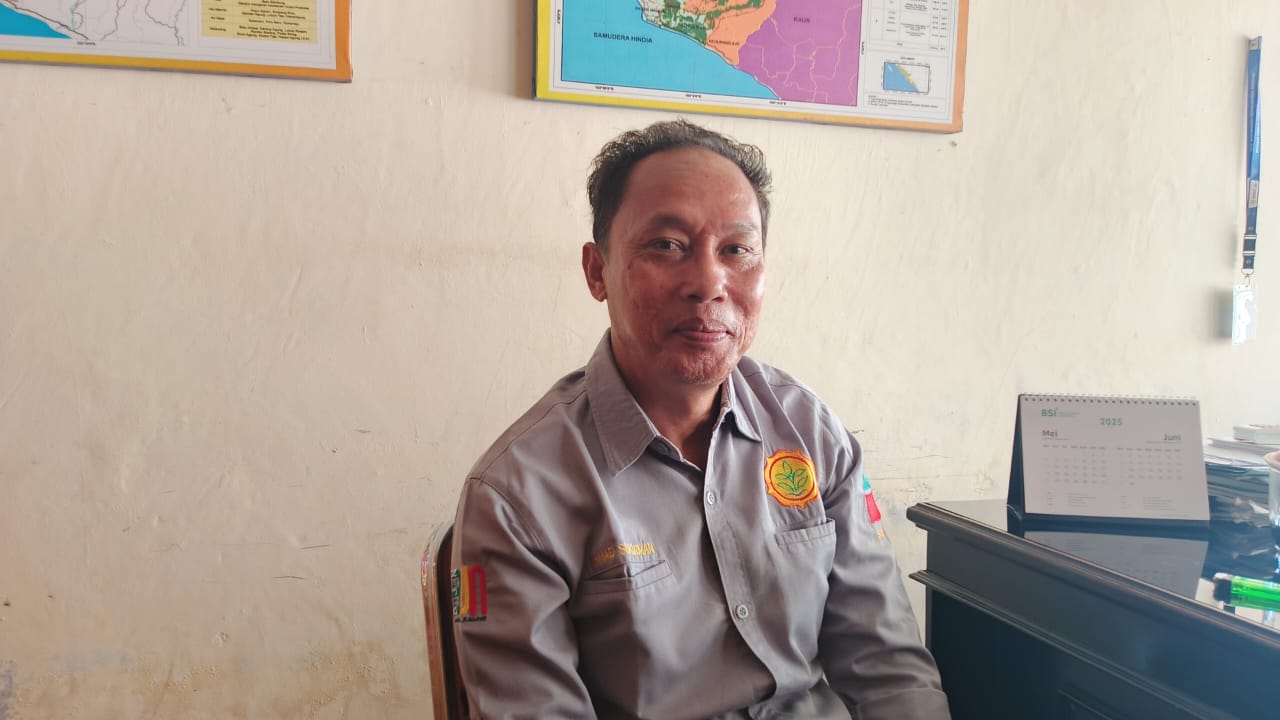 Dinas Pertanian Bengkulu Selatan Siapkan Replanting Sawit 2025, Dua Kelompok Sudah Siap Tanam Ulang
