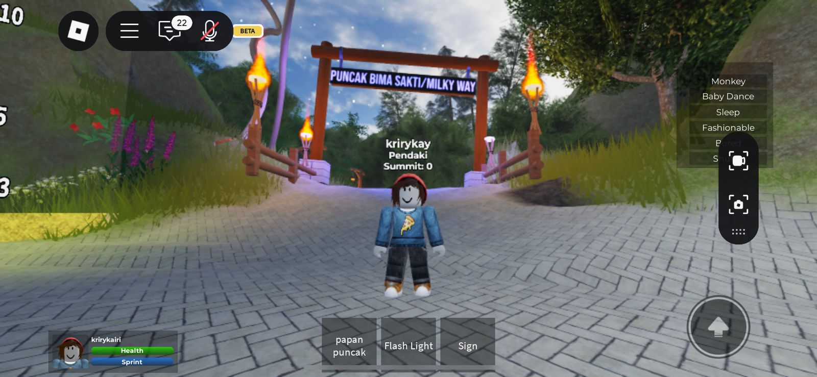 Psikolog: Main Roblox Bisa Jadi Cara Sehat Redakan Stres Orang Dewasa