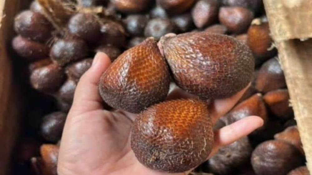 Beragam Manfaat Buah Salak untuk Kesehatan Tubuh, Salah Satunya Baik untuk Diet