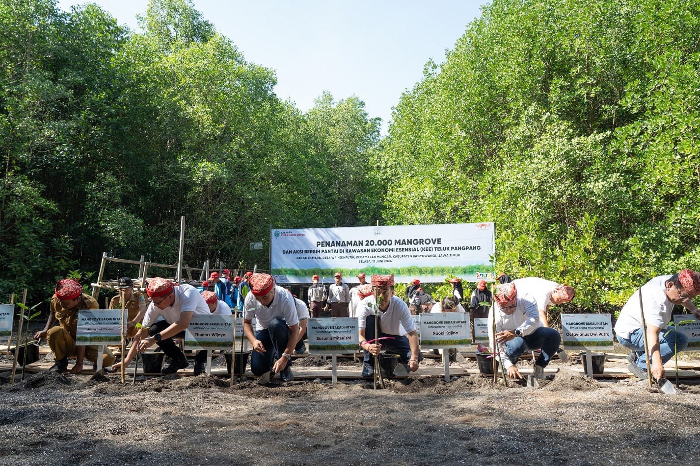 Yayasan AHM Tanam Puluhan Ribu Mangrove untuk Peringati Hari Lingkungan Hidup Sedunia