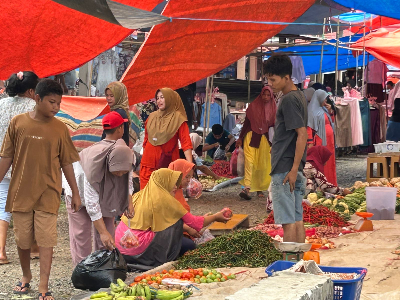 Harga Cabai Rawit dan Beras Turun di Mukomuko, Dinas Ketahanan Pangan Pastikan Stok Aman
