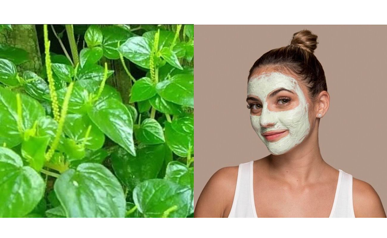 Resep Masker Alami Tiktok! Daun Sirih China dan Beras untuk Kulit Glowing