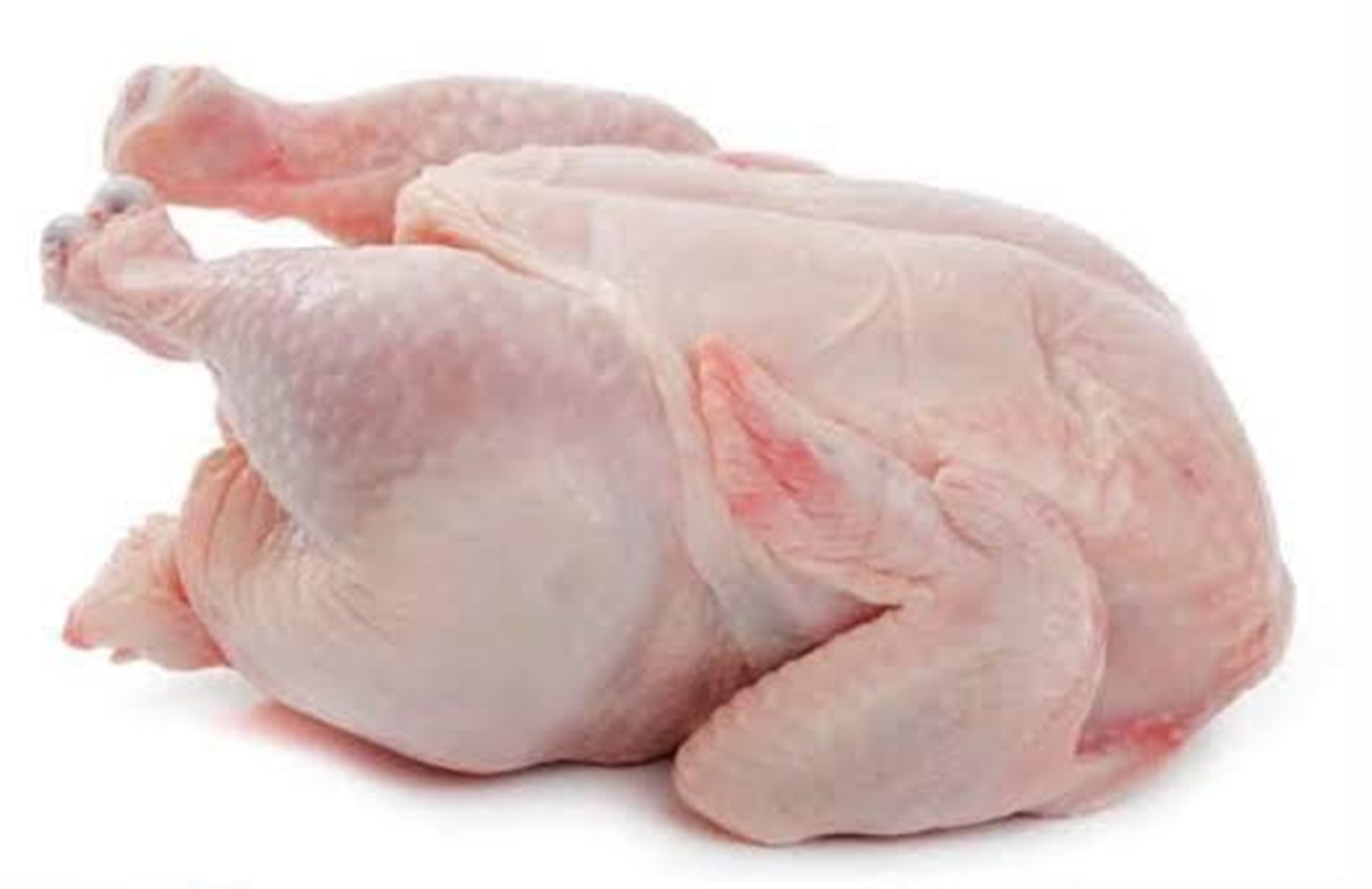 Hindari Konsumsi Ekor dan Paru Ayam, Mengandung Bakteri dan Parasit