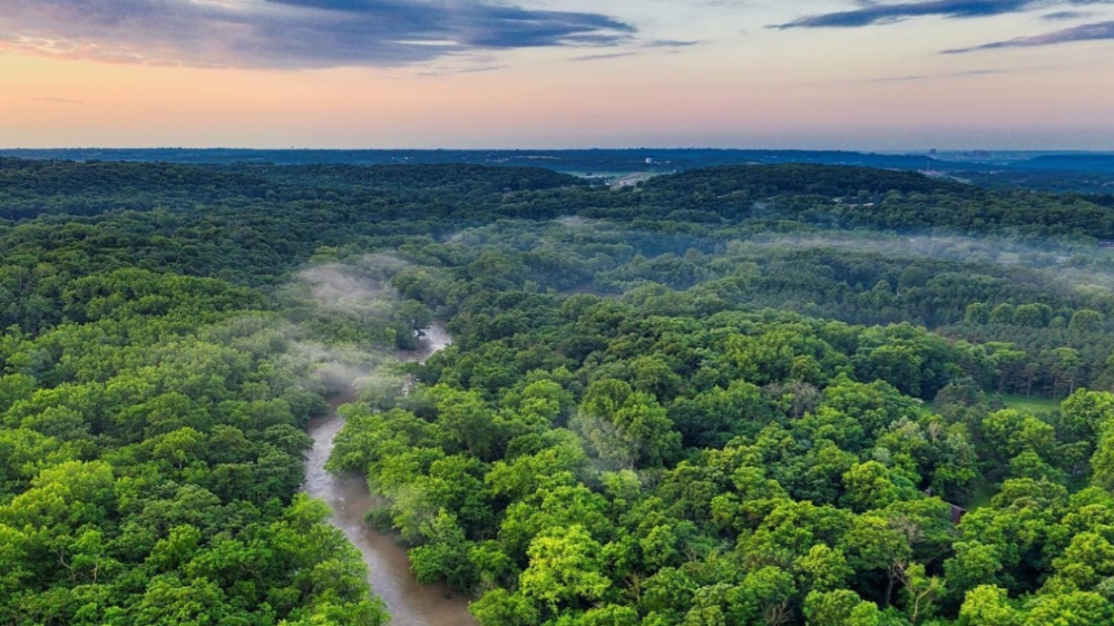 8 Fakta Unik Hutan Amazon, Hutan Hujan Tropis Terbesar di Dunia