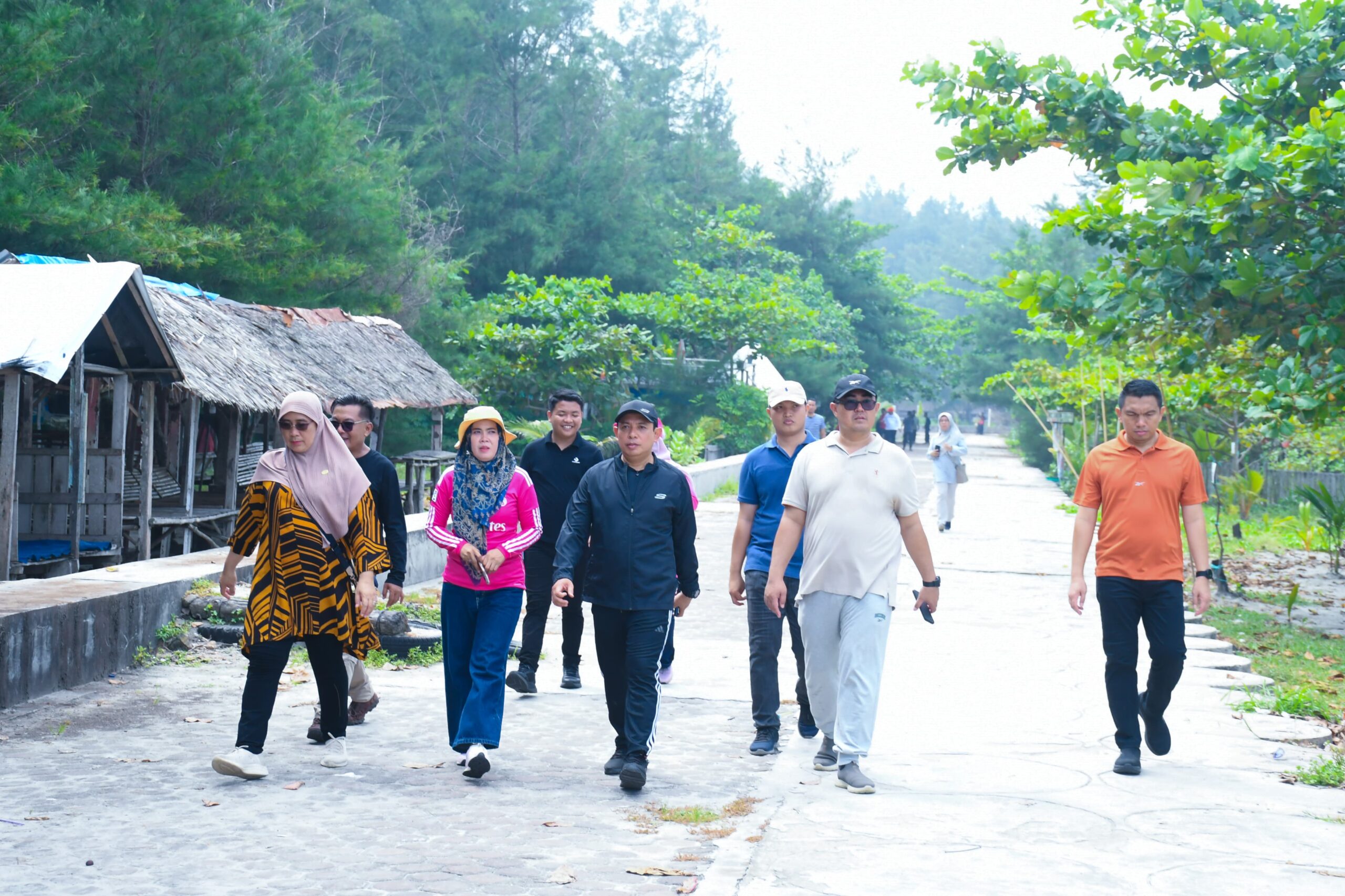Pohon Kelapa di Pantai Panjang Kembali Dirusak, Pemkot Bengkulu Geram dan Minta Polisi Tindak Tegas Pelaku