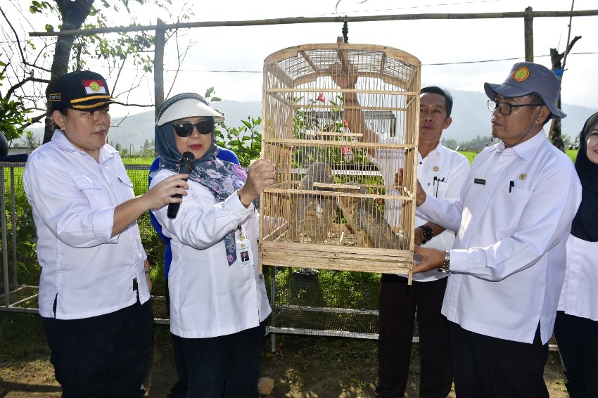 Dirjen Pembenihan dan Holtikultura Kementan Kunjungi Rejang Lebong, Ada Apa? 