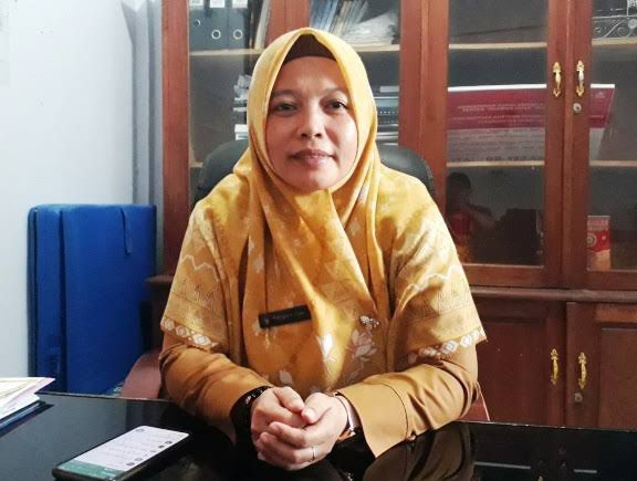 Wabah Ngorok Serang Mukomuko, 50 Ekor Kerbau Mati Terinfeksi Septicaemia Epizootica