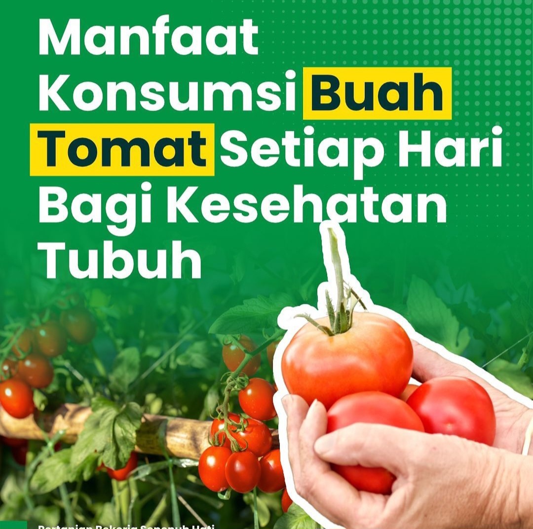 6 Manfaat Konsumsi Tomat Setiap Hari untuk Kesehatan Tubuh