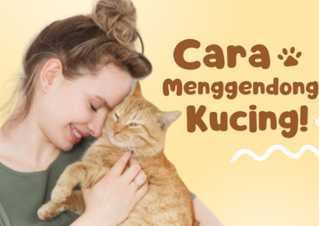 Cara Menggendong Kucing dengan Lembut dan Aman Tanpa Stres, Cat Lovers Wajib Tahu!