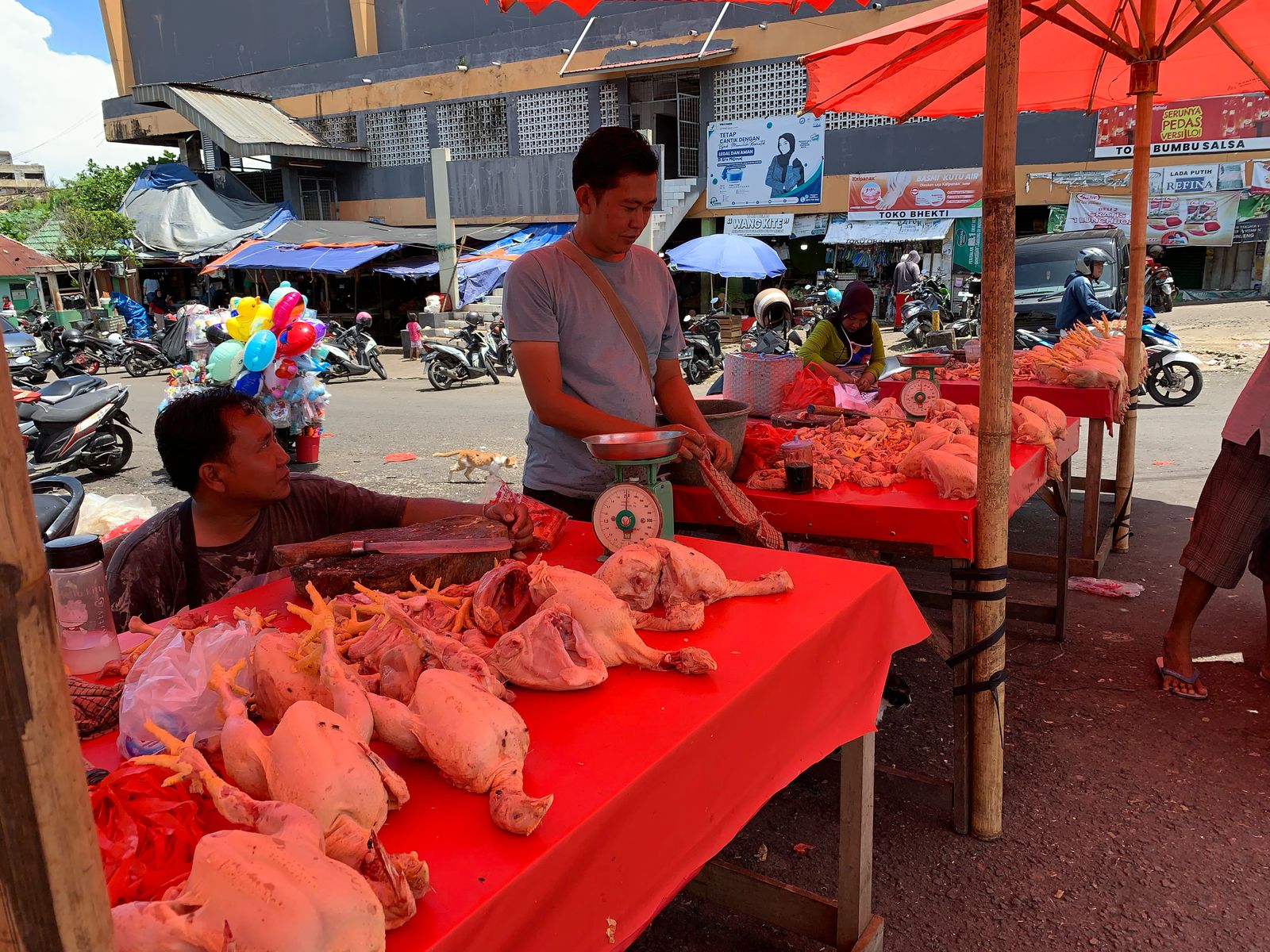 Harga Ayam dan Telur Turun di PTM Bengkulu, Tapi Harga Tomat Naik Dua Kali Lipat Usai Lebaran