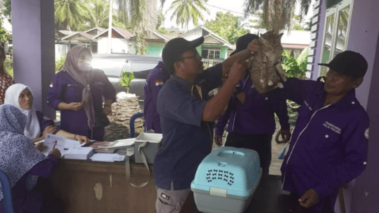 Awas! Kasus Gigitan Hewan Penular Rabies di Mukomuko Meningkat Jadi 83 Orang, Dinkes Lakukan Ini