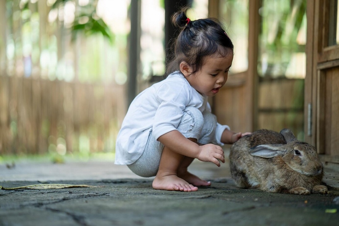 7 Hewan Peliharaan yang Aman untuk Anak-anak, Dapat Melatih Keterampilan dan Rasa Tanggung Jawab