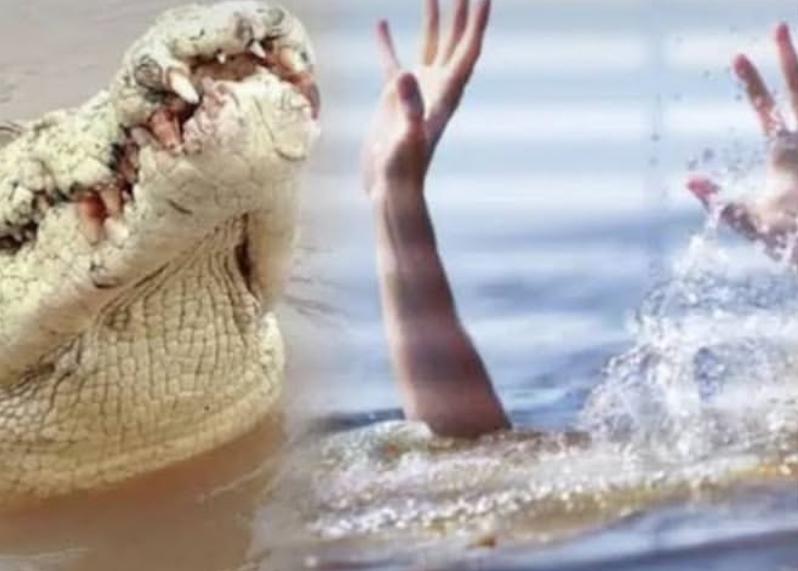 Buaya Terkam Warga di Kanal PT BPP, Tim SAR Kerahkan Drone dan Perahu Karet