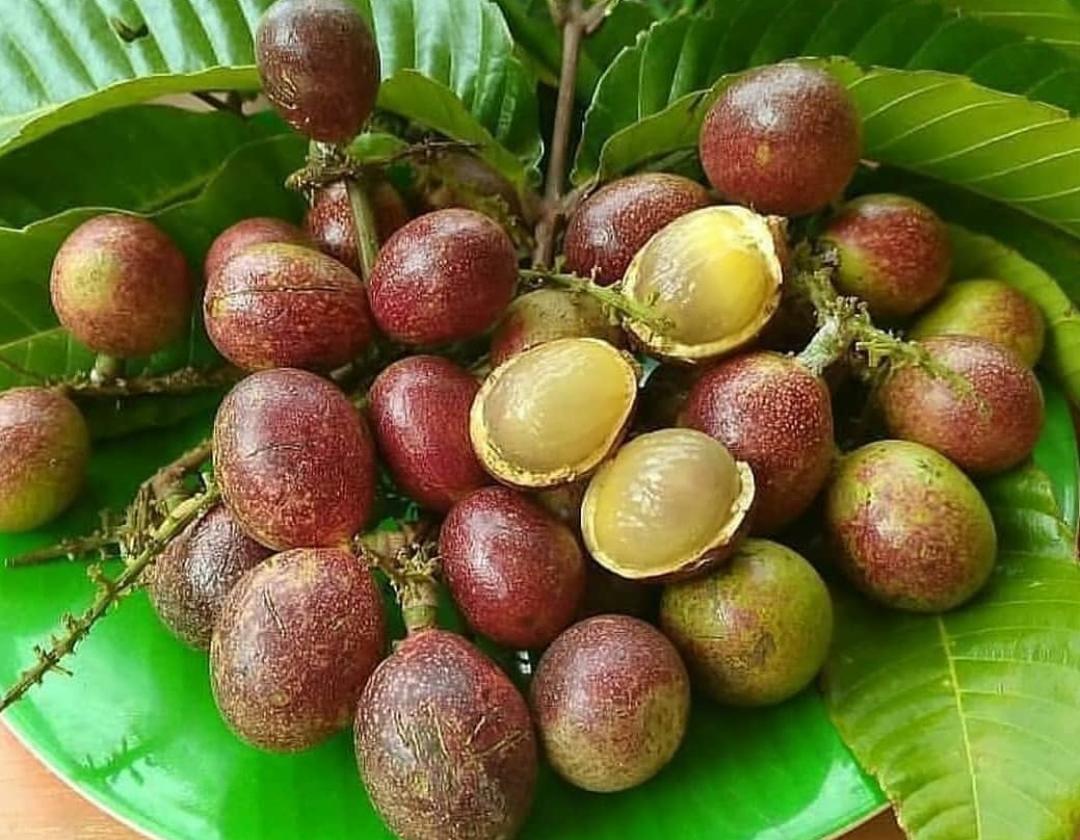 10 Manfaat Mengonsumsi Buah Matoa, Menjaga Keseimbangan Gula Darah dan Lainnya