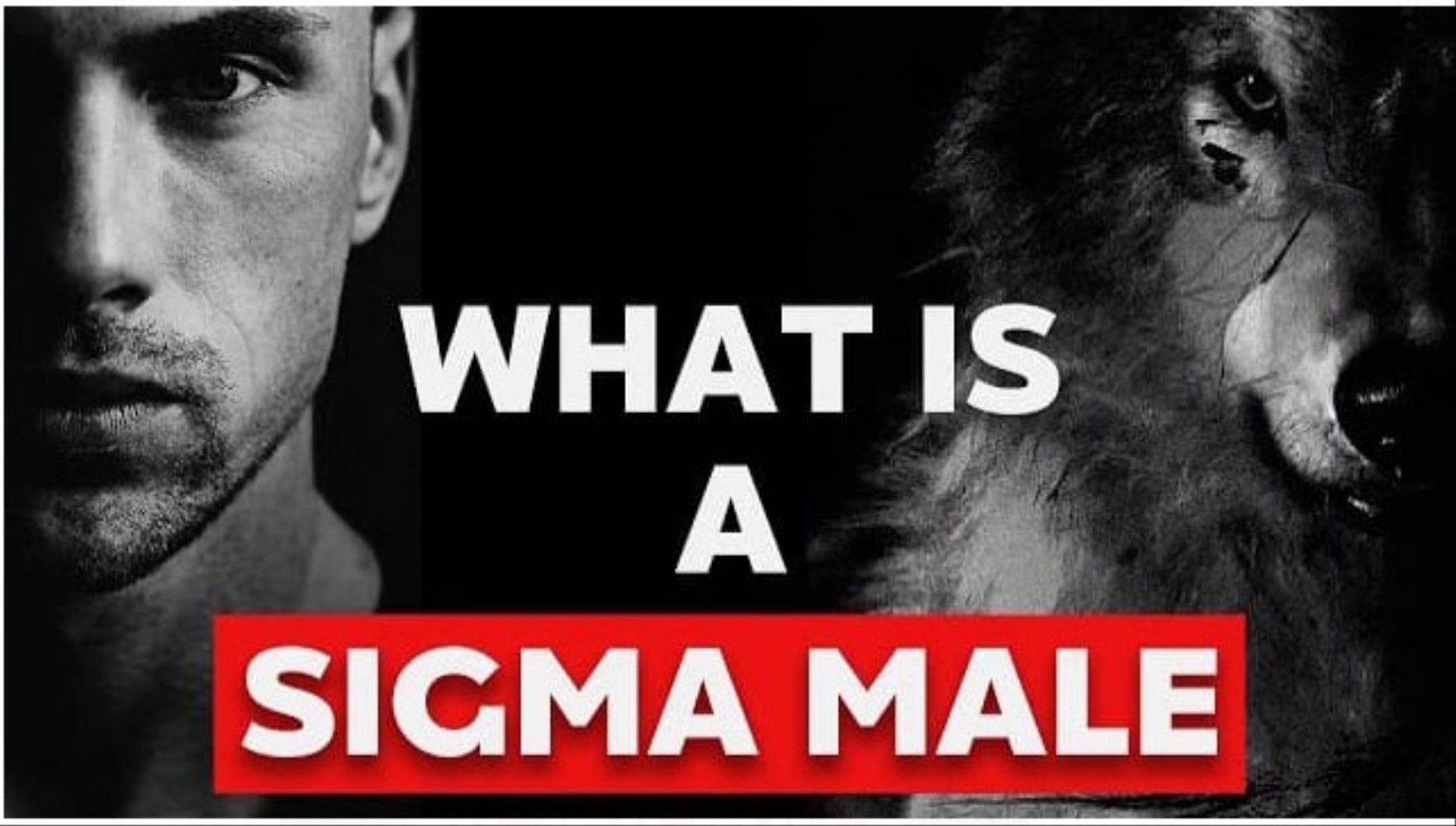 Mengenal Kepribadian Sigma Male, Pria dengan Sifat Pragmatis, Penyendiri dan Paranoid