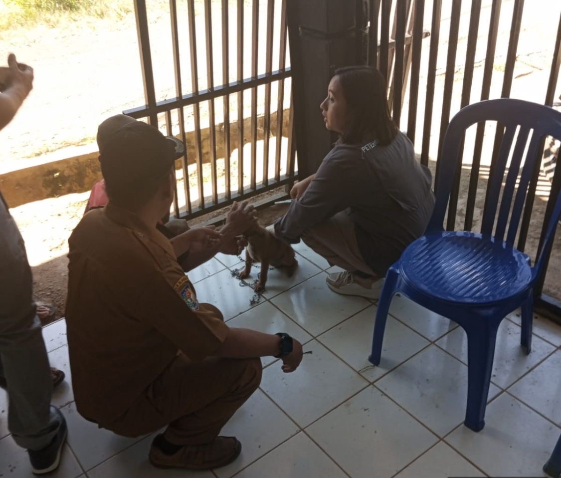 300 Dosis Vaksin Rabies Masih Tersedia, Disperkan Lebong Ajak Masyarakat Segera Ajukan