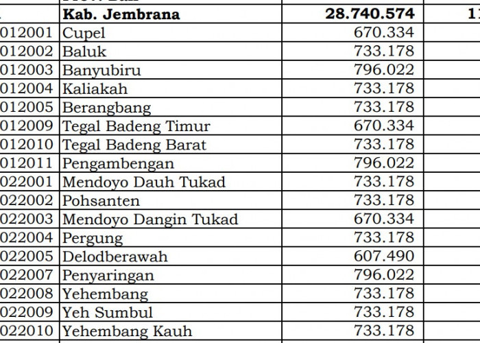 Rincian Dana Desa 2024 Jembrana, Bali! Simak Jawabannya di Sini