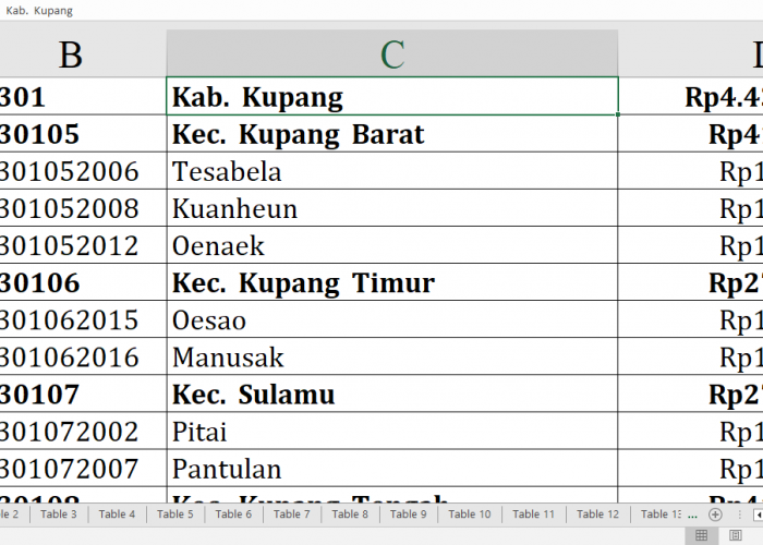 Daftar Desa di Kabupaten Kupang dan Belu Raih Dana Insentif Desa 2024