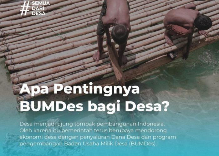 BUMDes Bengkulu Utara Didorong Berbadan Hukum, Baru 22 Terdaftar dari 142 yang Ada