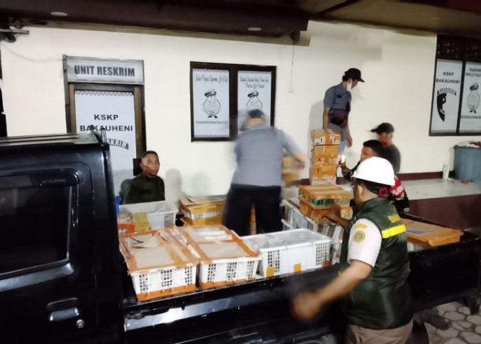 1.689 Burung Diselundupkan ke Jawa, 57 Ekor Satwa Dilindungi Diamankan di Bakauheni