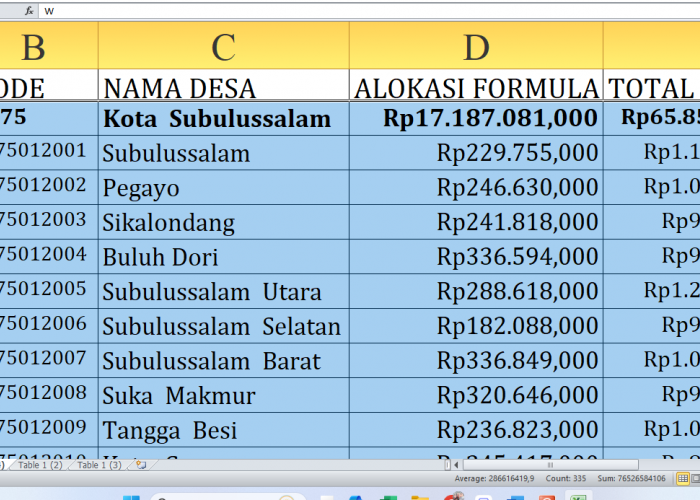 Peta Dana Desa 2025: Alokasi Dana untuk Setiap Desa di Subulussalam Provinsi Aceh