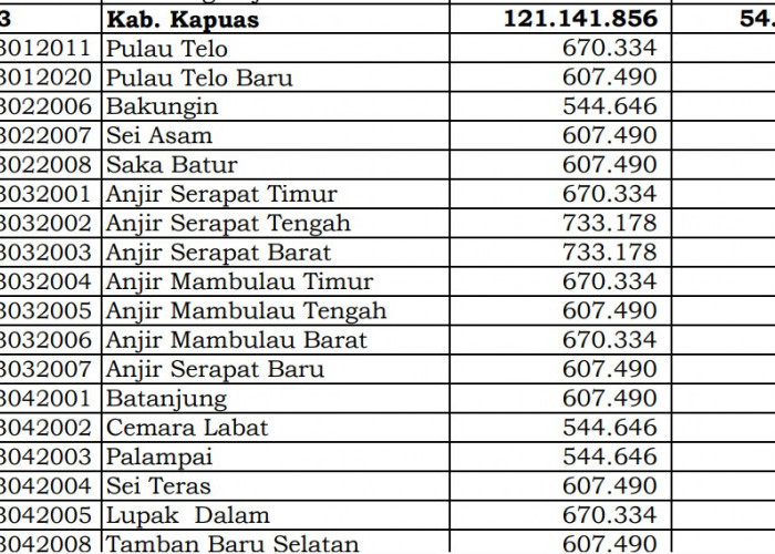 Rincian Dana Desa 2024 Kapuas 1, Kalimantan Tengah: Simak Jawabannya di Sini