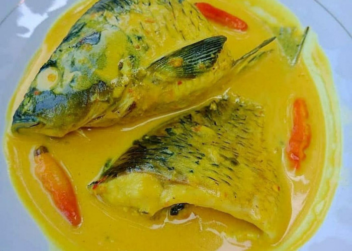 4 Resep Masakan Ikan Mas yang Enak untuk Lauk Keluarga, Bisa Dibumbu Kuning hingga Bakar Kecap