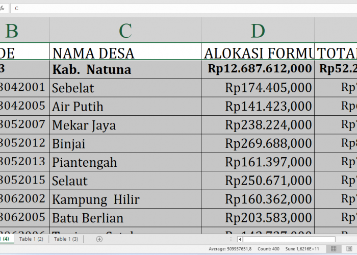 Dana Desa Tahun 2025 Banjir ke Natuna Provinsi Kepulauan Riau! Desa Mana yang Paling Beruntung?