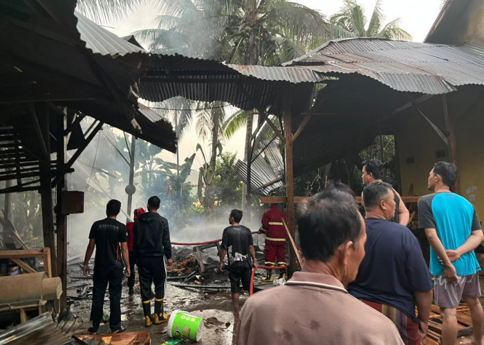 Meubel di Bengkulu Selatan Ludes Terbakar, Damkar Padamkan Api dalam 10 Menit