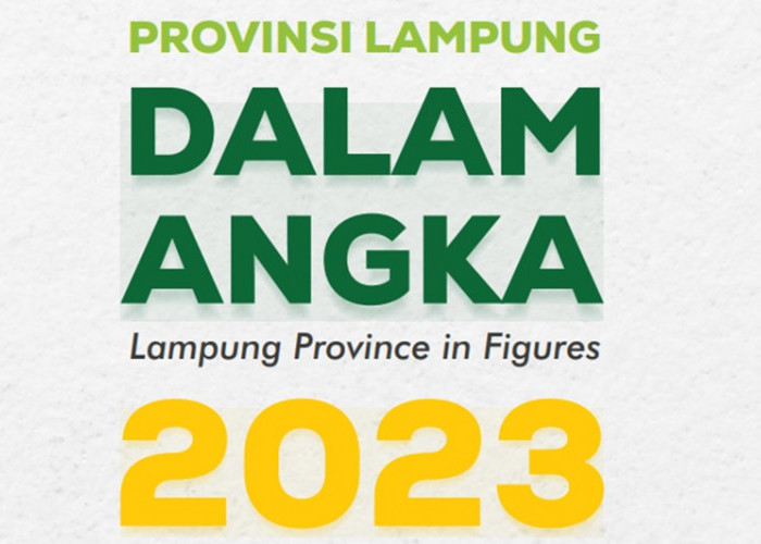 Alhamdulillah! Gaji PPPK Tahun 2024 Lampung 402 Miliar: Terbesar Pringsewu dan Tanggamus