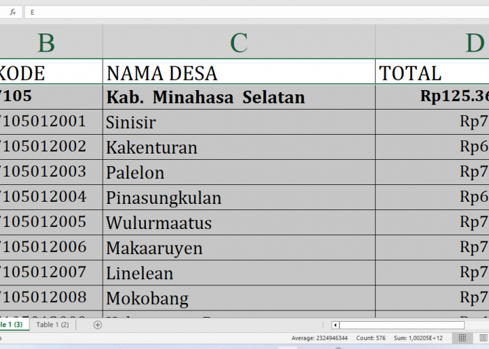 Di Sini Lengkap Rincian Dana Desa 2025 Minahasa Selatan Rp125,3 Miliar, Cek Desa Terbesar Penerima