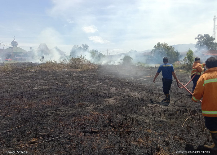 Kebakaran Lahan di Curup Tengah Rejang Lebong, Api Diduga dari Puntung Rokok