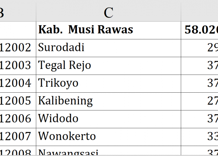 Fantastis! Dana Desa 2026 Musi Rawas Tembus Rp58 Miliar, Puluhan Desa Dapat Rp373 Juta 