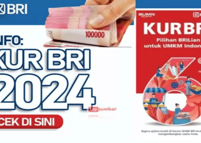 KUR BRI, Jadi 'Pahlawan' Permodalan UMKM 