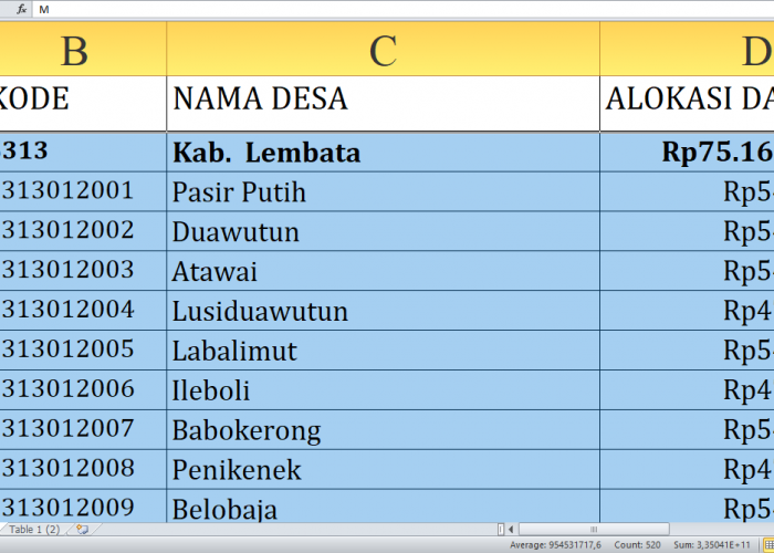 Di Sini Lengkap Rincian Dana Desa 2025 Lembata NTT Rp112,3 Miliar, Cek Desa Terbesar Penerima