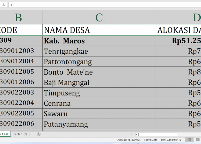 Berapa Rincian Dana Desa 2025 untuk Desa di Maros Sulawesi Selatan? Rp78,8 Miliar, Berikut Lengkapnya