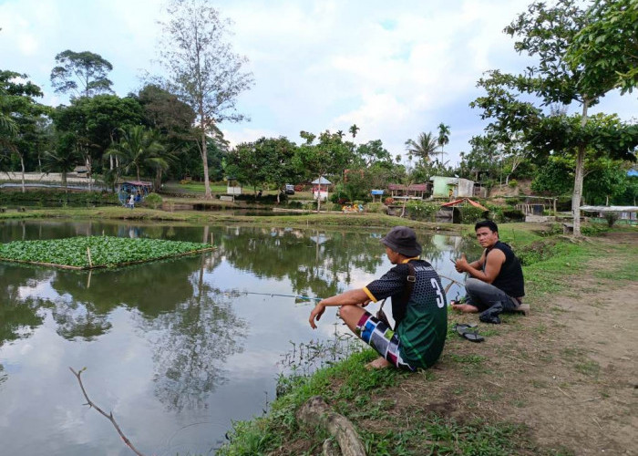 Danau Suro Kepahiang: Destinasi Wisata Alam Sambil Memancing